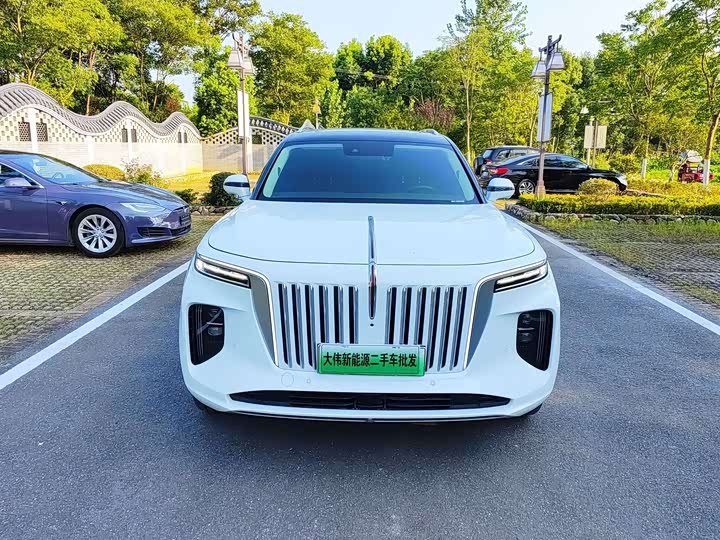 Hongqi E-HS 2021 460km — фото 2