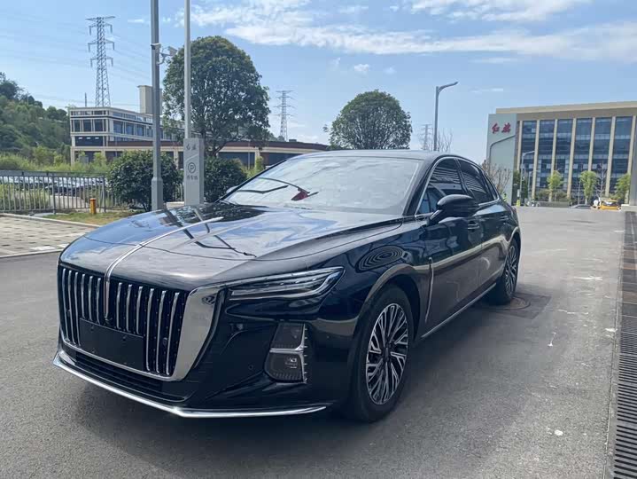 Hongqi H5 2023 1.5 T DCT — фото 15
