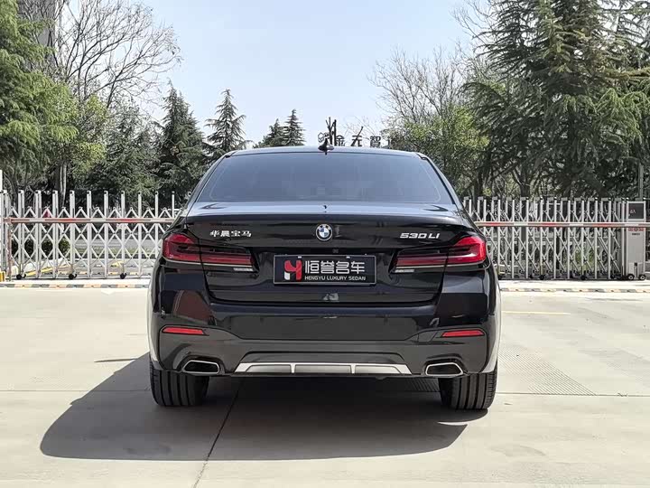 BMW 5-Series 2022 530 Li Leading M — фото 25