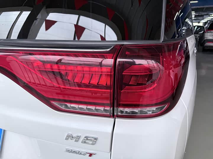 Trumpchi M8 2023 390 T — фото 19