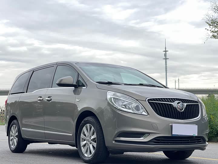 Buick GL8 25S люкс V — фото 3