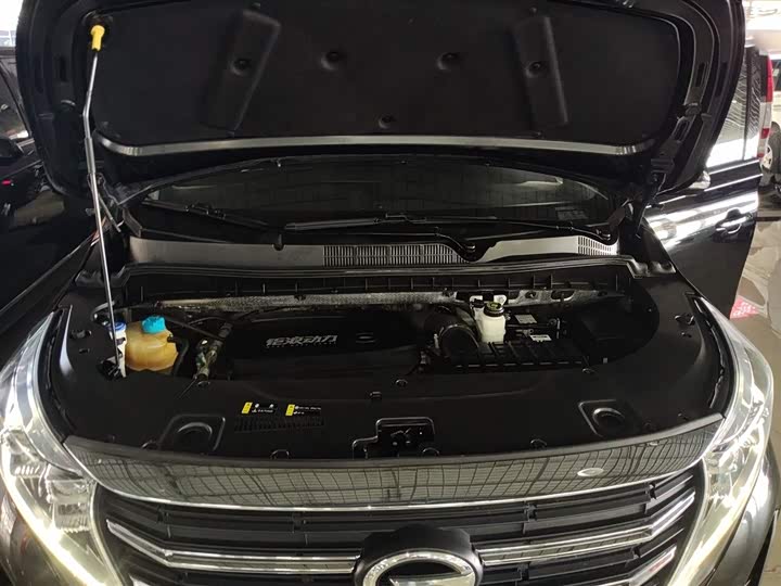Trumpchi M8 2023 390 T — фото 19