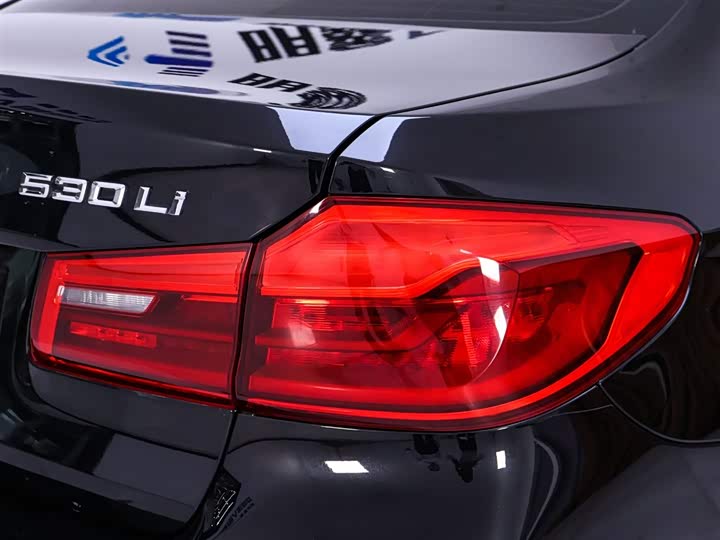 BMW 5-Series 2020 530 Li — фото 9