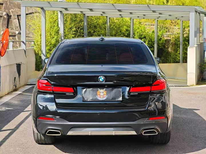 BMW 5-Series 2023 530 Li Leading M — фото 5