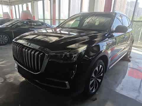 Hongqi HS7 2022 3.0 T AT 4 WD — фото 26