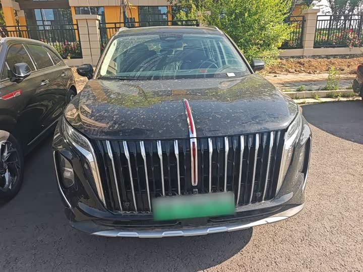 Hongqi HS7 PHEV 2024 2.0 T PHEV 4 WD 7 — фото 3