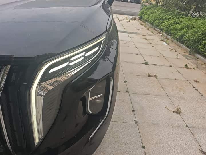 Hongqi HS7 PHEV 2024 2.0 T PHEV 4 WD 7 — фото 24