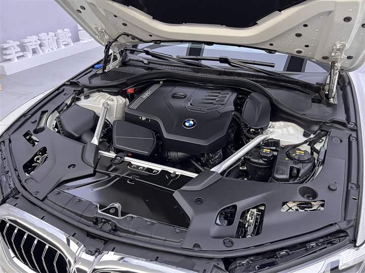 BMW 5-Series 2022 530 Li Leading — фото 12