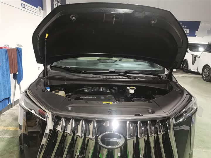 Trumpchi M8 2023 400 T — фото 20