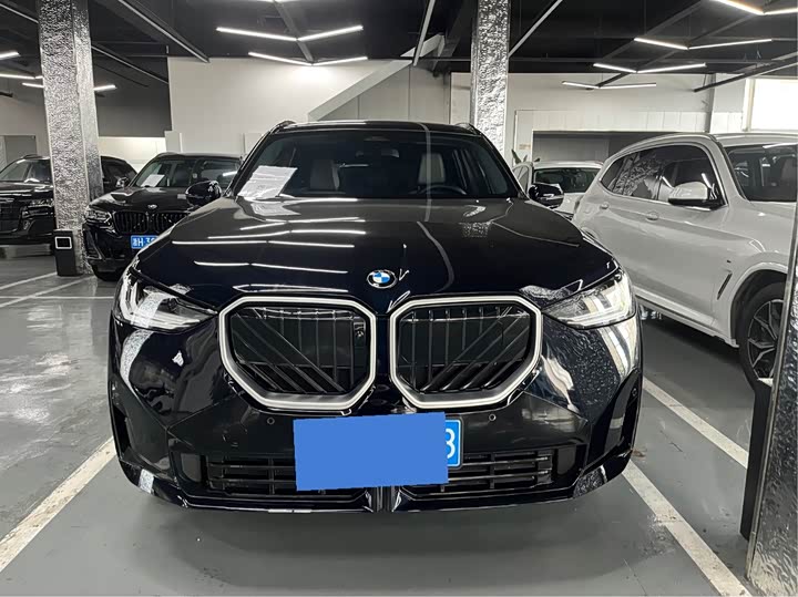 BMW X3 xDrive25L люкс-пакет — фото 2