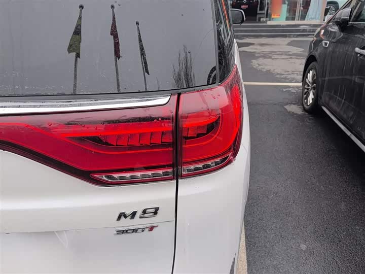 Trumpchi M8 2023 390 T — фото 24