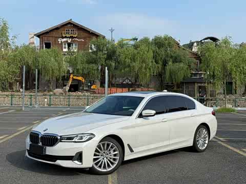 BMW 5-Series 2021 530 Li — фото 19