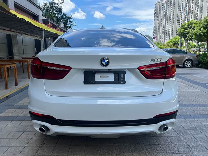 BMW X6 xDrive28i — фото 19