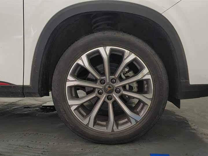 Changan CS75 PLUS 2021 2.0 T AT — фото 6