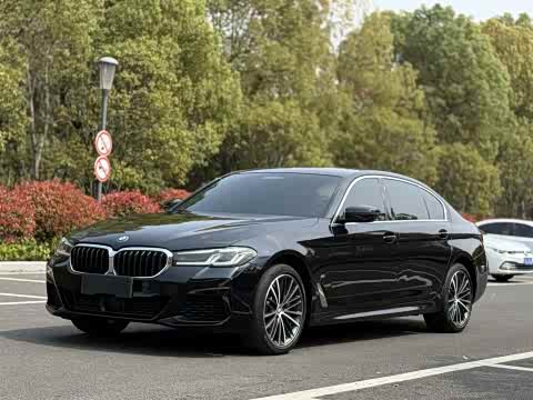 BMW 5-Series 2022 530 Li Leading M — фото 15
