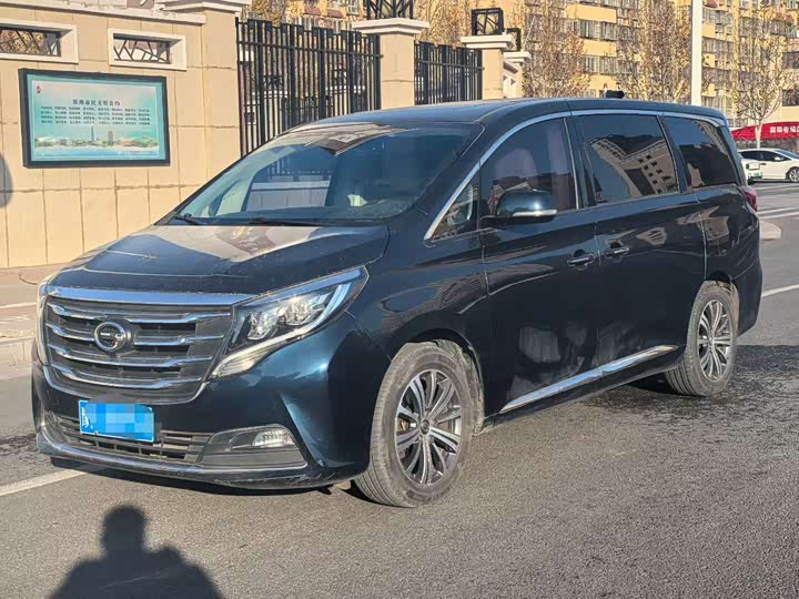 Trumpchi M8 2018 320 T — фото 1