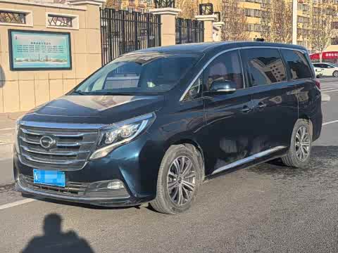 Trumpchi M8 2018 320 T — фото 10