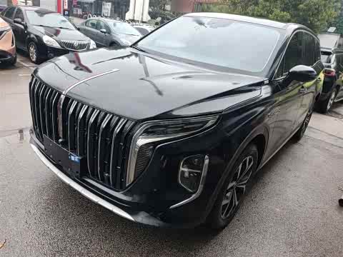 Hongqi HS7 2024 2.0 T AT 2 WD — фото 26