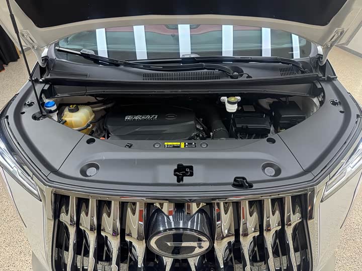 Trumpchi M8 2023 400 T — фото 46
