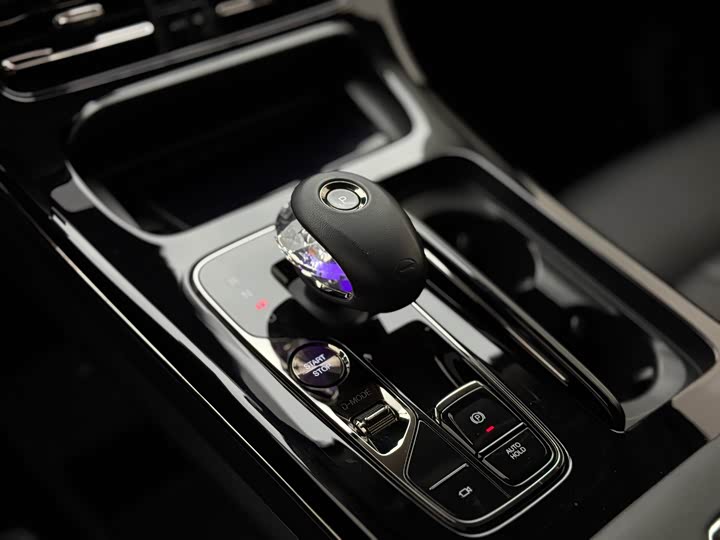Trumpchi E9 2023 E 9 MAX — фото 7