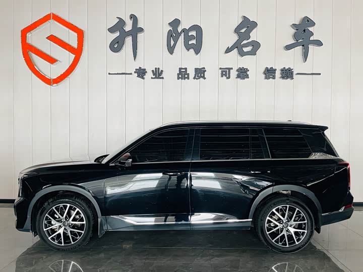 Trumpchi GS8 2024 2.0 TGDI 2 WD 7 — фото 3