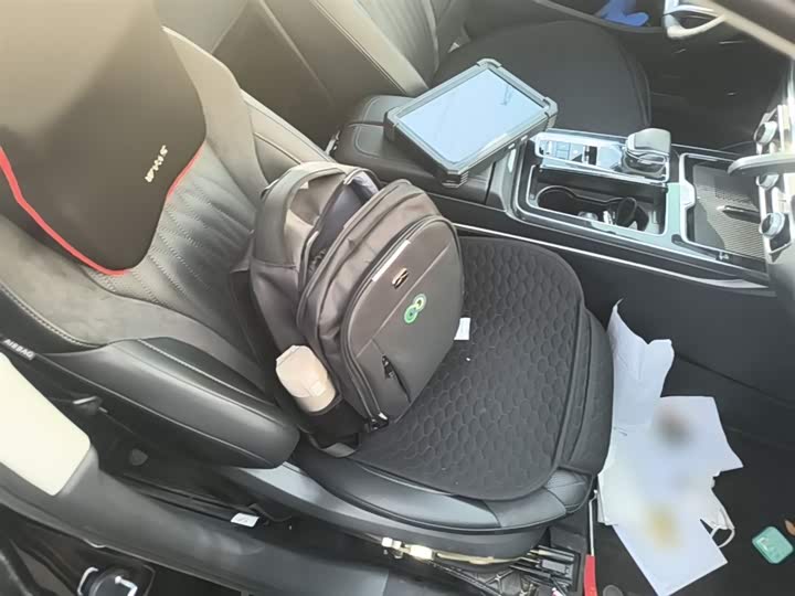 Hongqi HS5 2023 2.0 T 4 WD Pro — фото 25