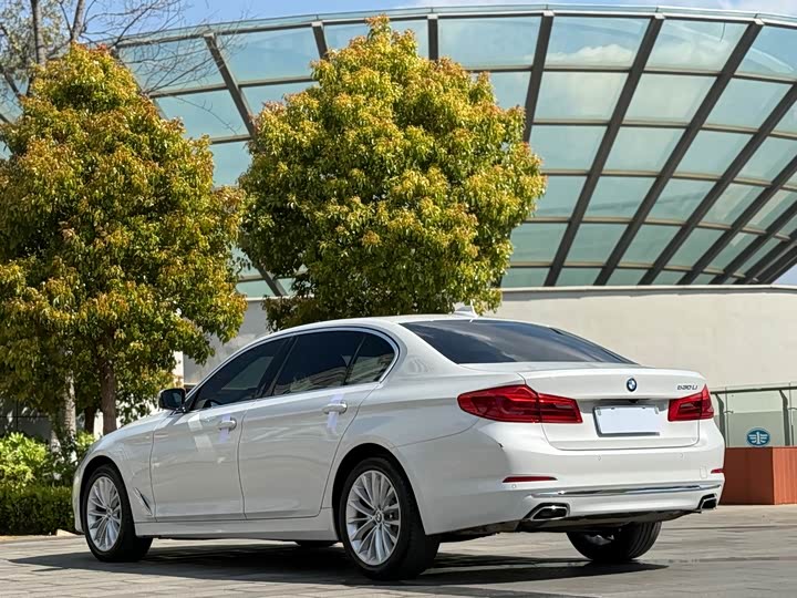 BMW 5-Series 2019 530 Li Leading — фото 9