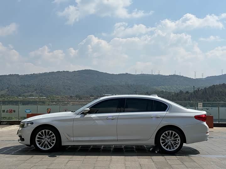 BMW 5-Series 2019 530 Li Leading — фото 10
