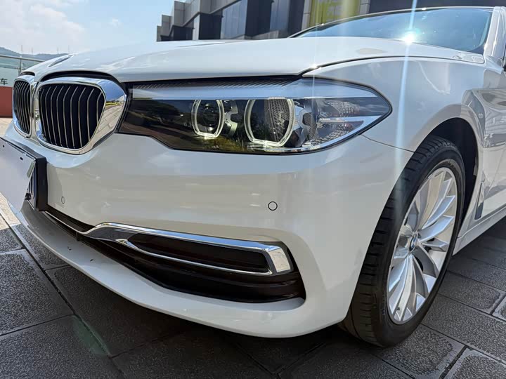 BMW 5-Series 2019 530 Li Leading — фото 13