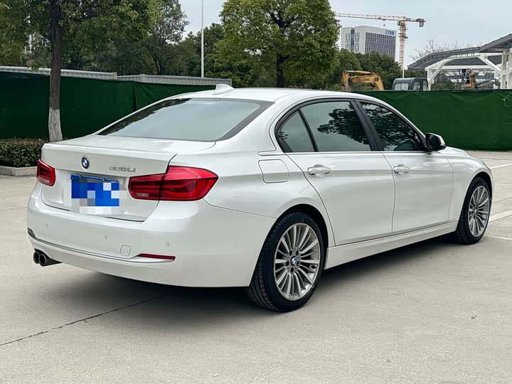 BMW 3-Series 2019 320 Li — фото 9