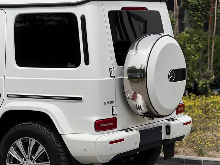 Mercedes-Benz G-Class 2019 G 500 — фото 14