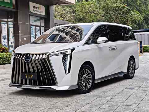 Trumpchi M8 2023 — фото 18