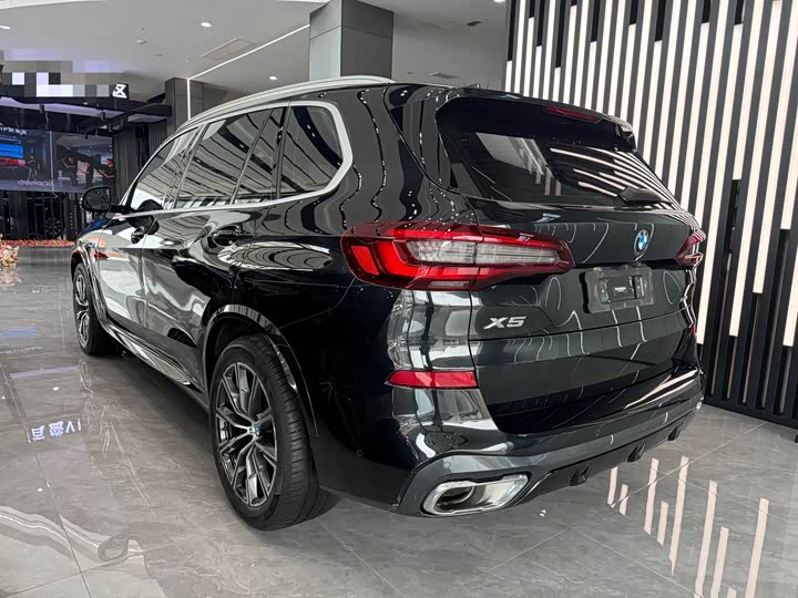 BMW X5 xDrive 30Li M спортпакет — фото 10