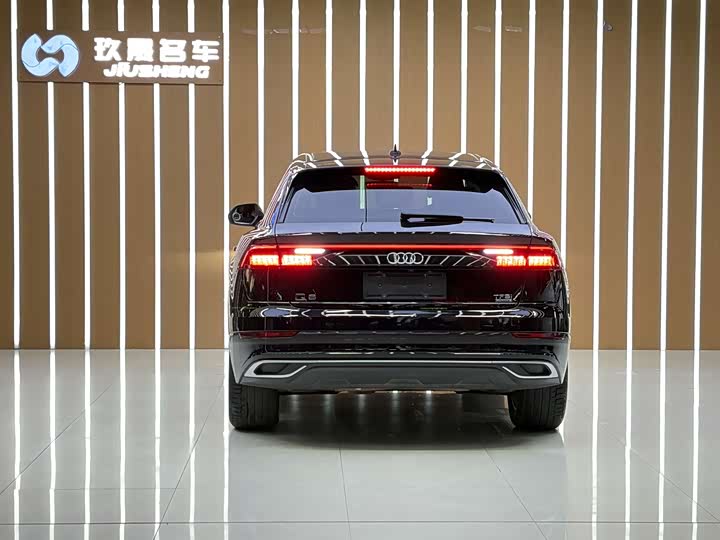 Audi Q8 2019 45 TFSI — фото 15
