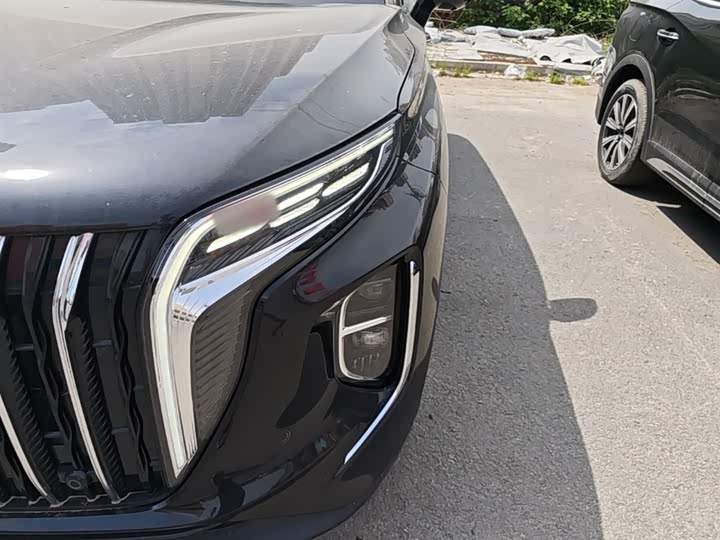 Hongqi HS7 PHEV 2024 2.0 T PHEV 4 WD 6 — фото 24