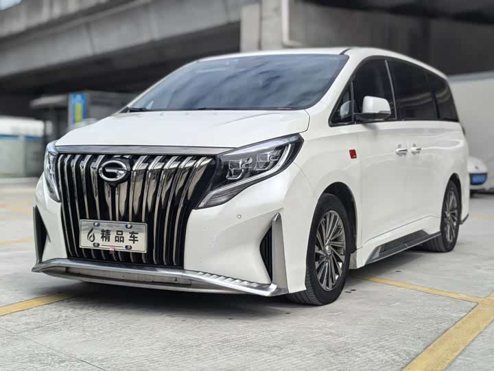 Trumpchi M8 2021 390 T