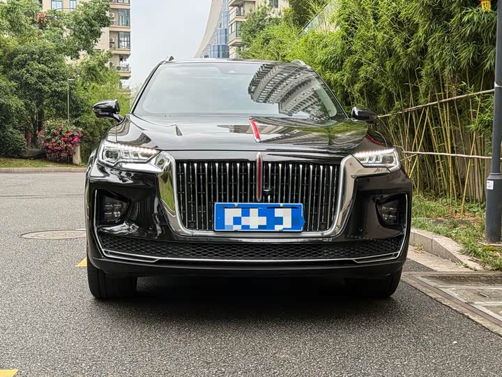 Hongqi HS5 2022 2.0 T 4 WD — фото 2
