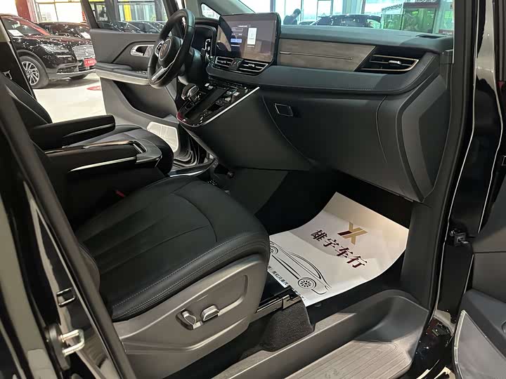 Hongqi HQ9 PHEV 2024 2.0 T 4 WD — фото 10
