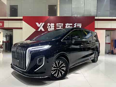 Hongqi HQ9 PHEV 2024 2.0 T 4 WD — фото 11