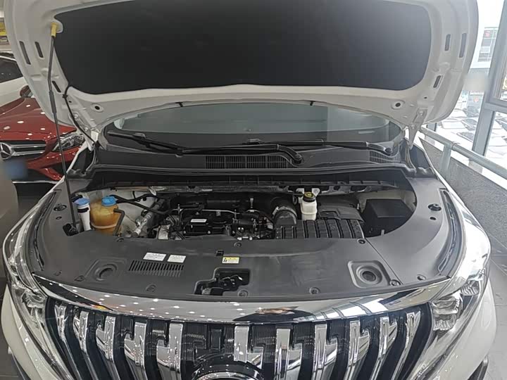 Trumpchi M8 2021 390 T — фото 20