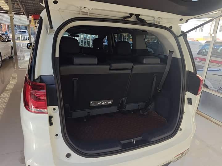 Trumpchi M8 2020 390 T — фото 15