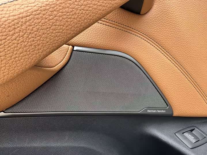 BMW 5-Series 2019 530 Li Leading — фото 11