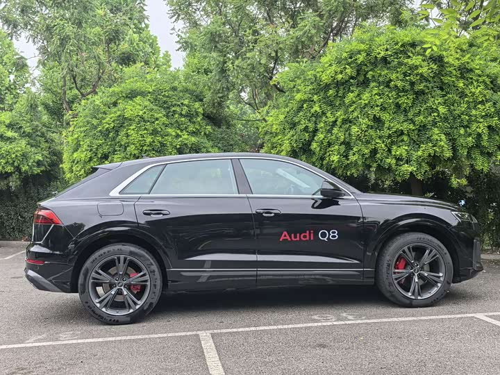 Audi Q8 2024 55 TFSI — фото 13