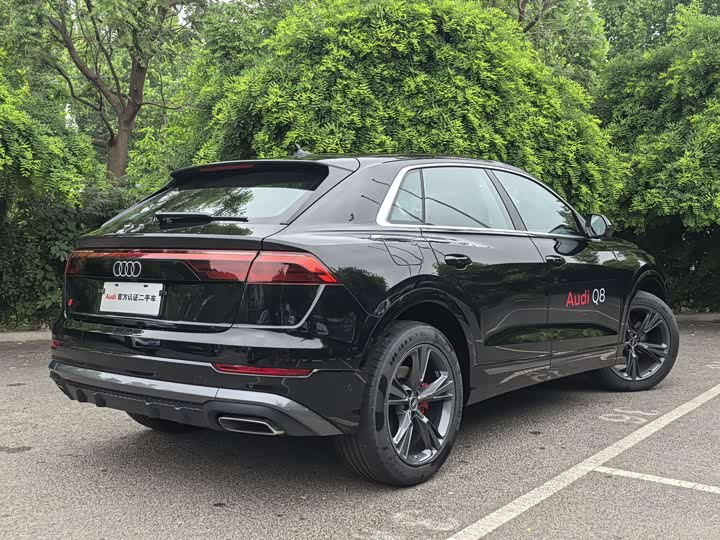 Audi Q8 2024 55 TFSI — фото 15