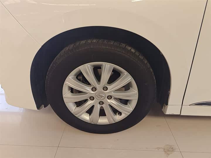 Trumpchi M8 2020 390 T — фото 25