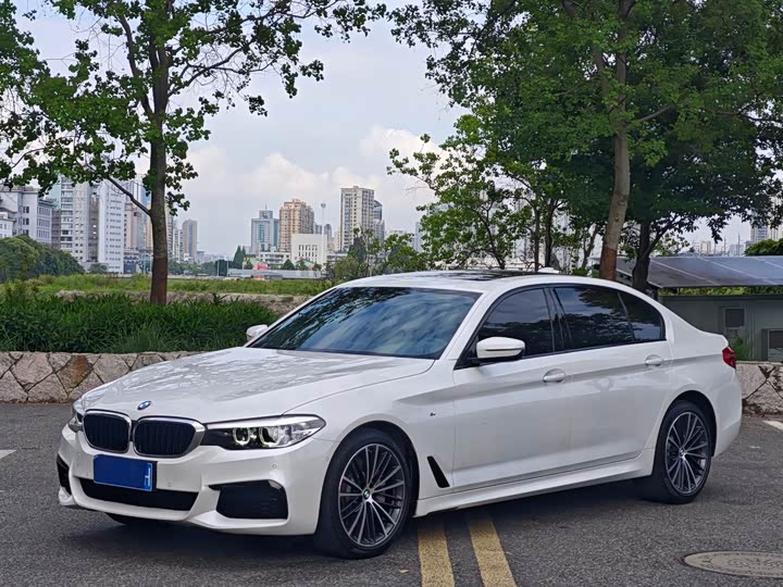 BMW 5-Series 2019 530 Li Leading M — фото 1