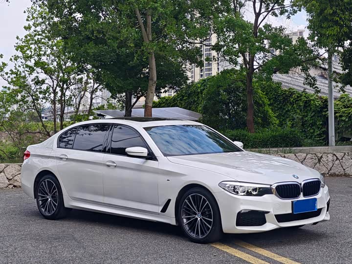 BMW 5-Series 2019 530 Li Leading M — фото 3