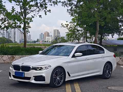 BMW 5-Series 2019 530 Li Leading M — фото 16