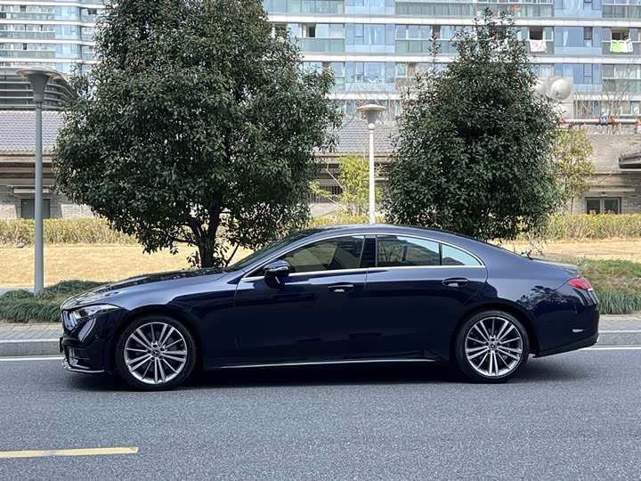 Mercedes-Benz CLS 2020 CLS 300 — фото 5