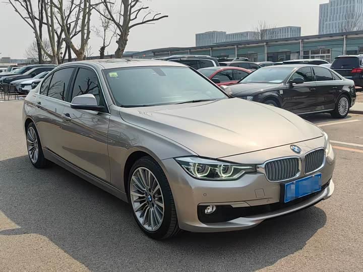 BMW 3-Series 2019 320 Li — фото 5